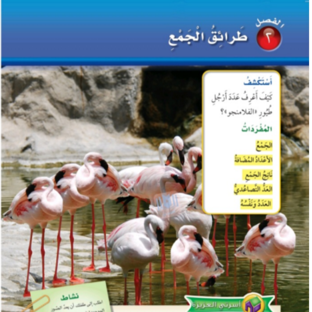 حل الفصل 2 رياضيات ثاني ابتدائي الفصل الاول 1448
