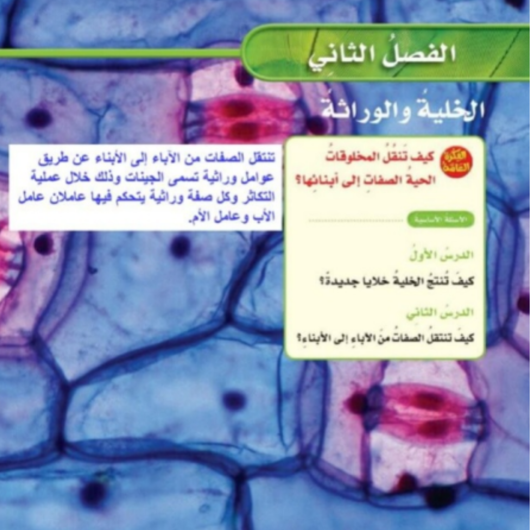 حل الفصل 2 الخلية والوراثة علوم سادس ابتدائي الفصل الاول 1448