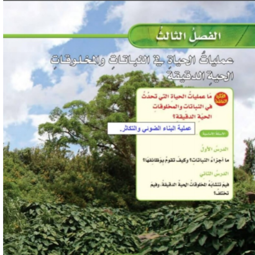 حل الفصل 3 علوم سادس ابتدائي الفصل الاول 1448