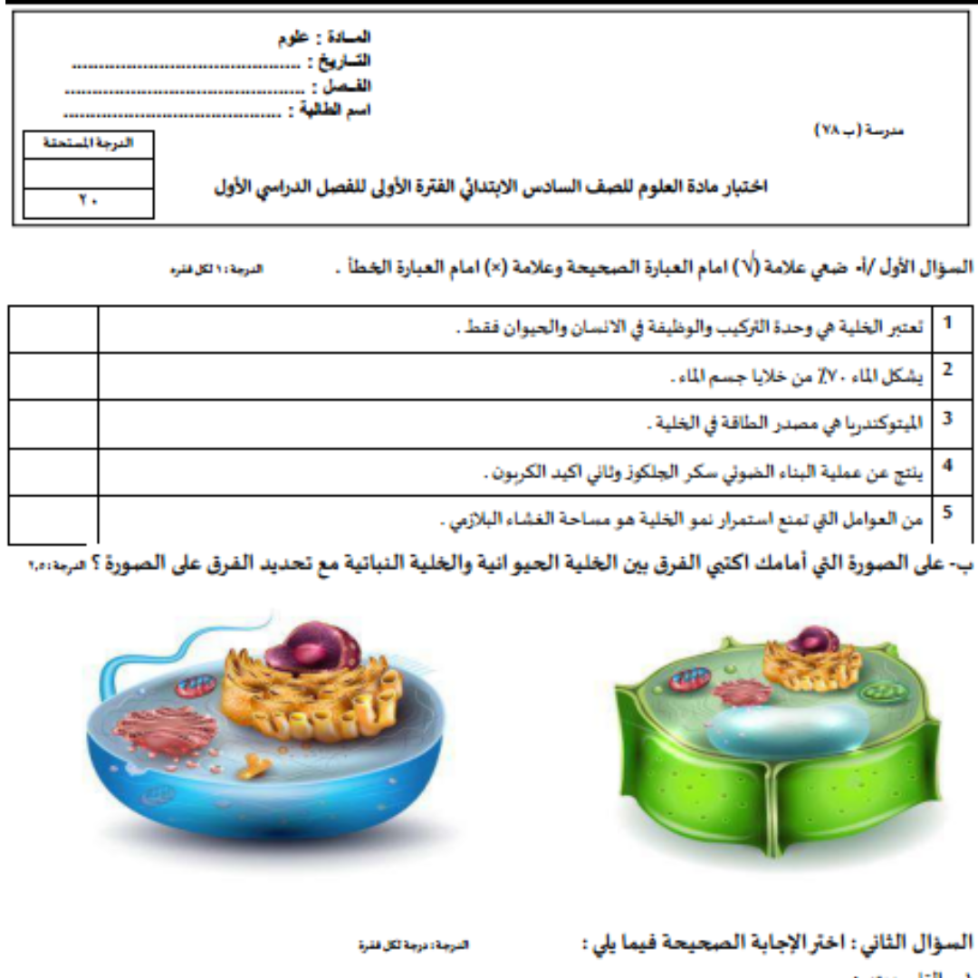 اختبار علوم سادس ابتدائي الفصل الاول 1448