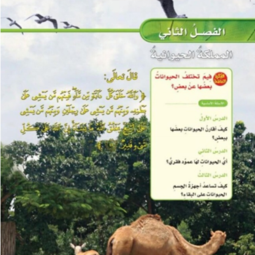 حل الفصل الثاني علوم رابع ابتدائي الفصل الاول 1448